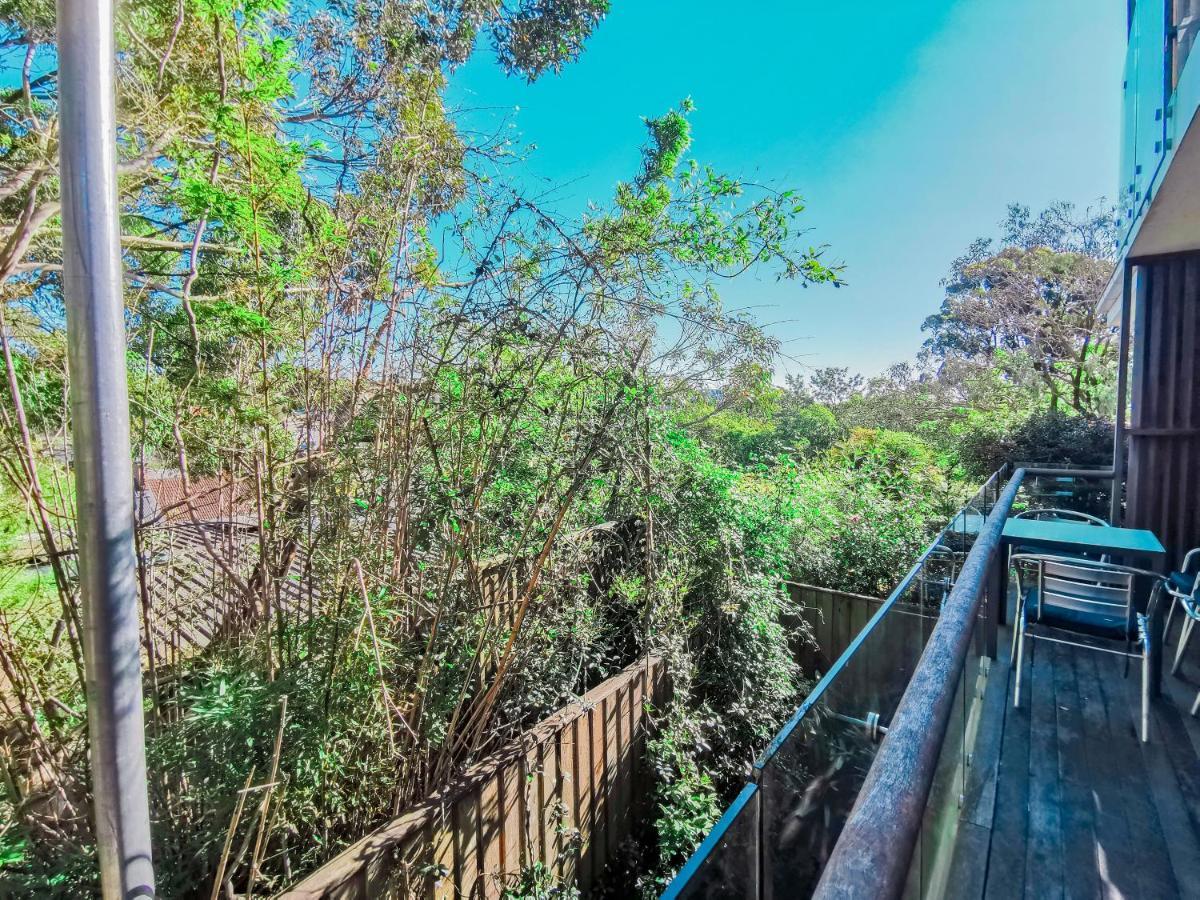 Glebe House Homestay Sydney Eksteriør billede